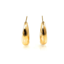 Load image into Gallery viewer, Pair of gold earrings on a white background