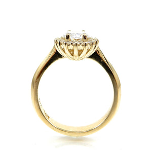 Oval Cut Center Stone with Diamond Halo