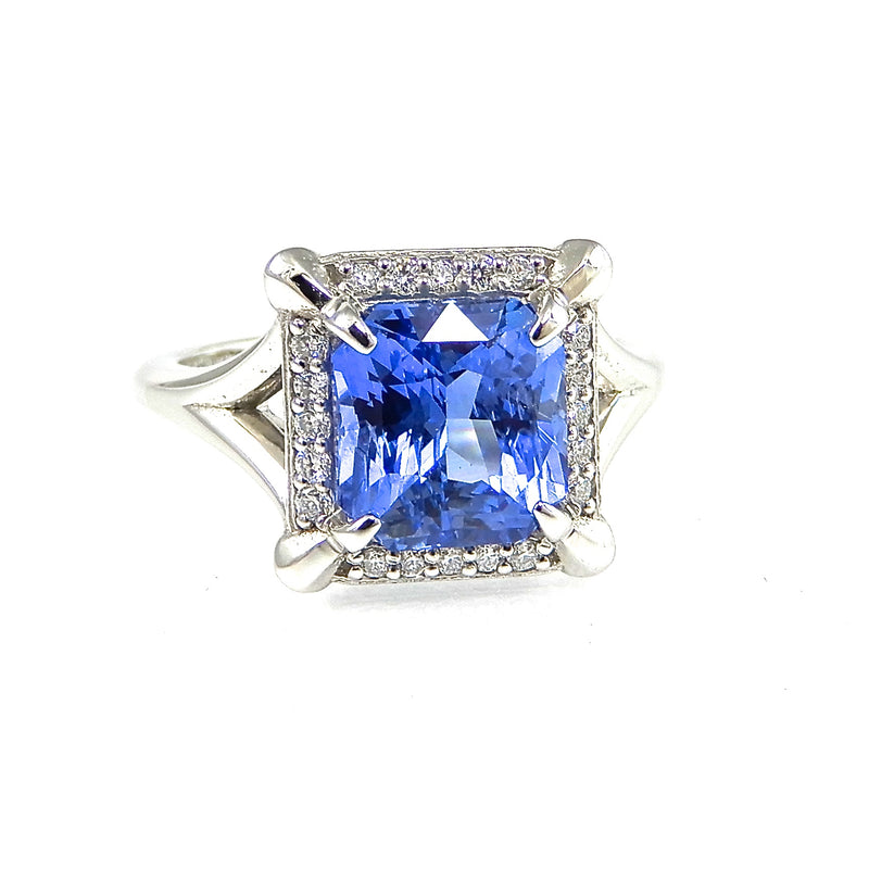 Ceylon Sapphire & Diamond Halo Ring