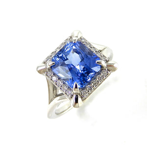 Ceylon Sapphire & Diamond Halo Ring